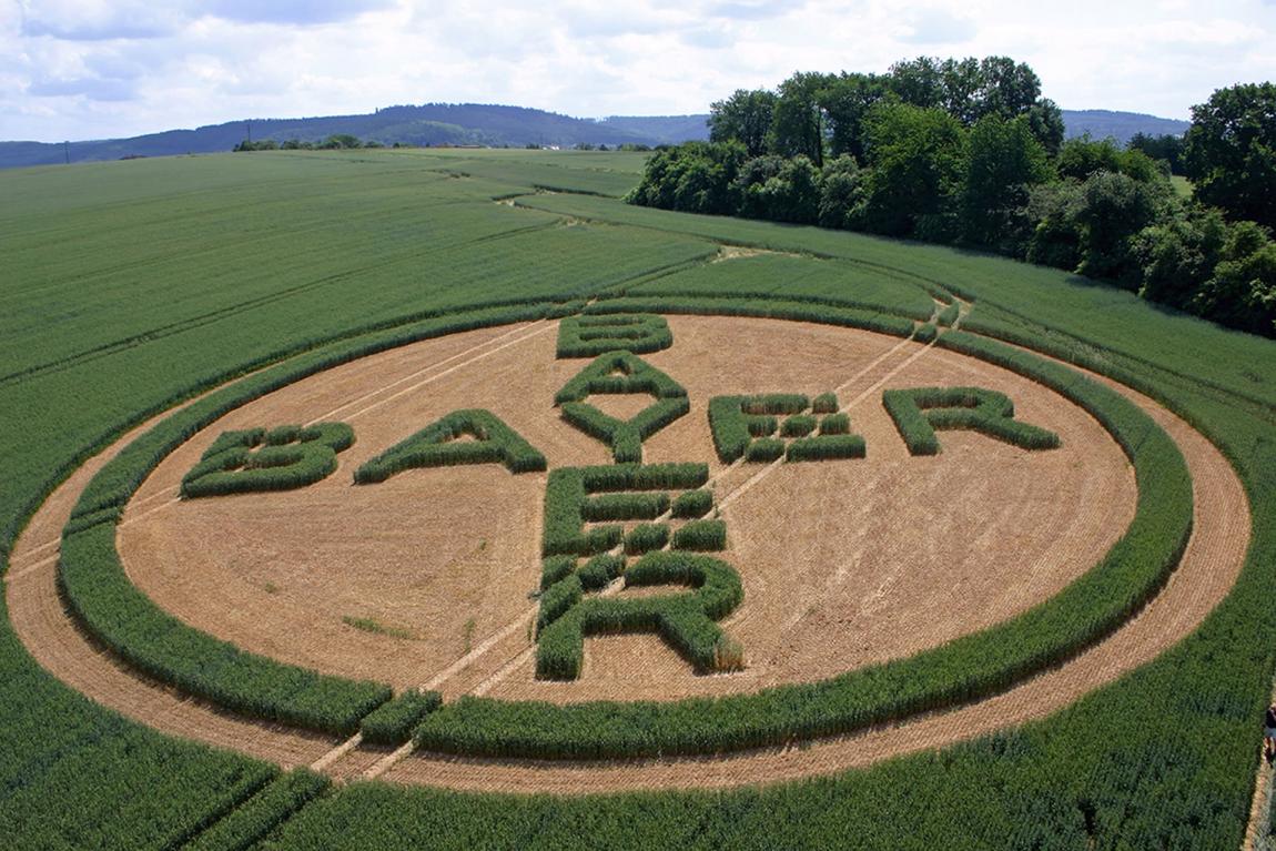 BAYER UNIDADE RIO VERDE